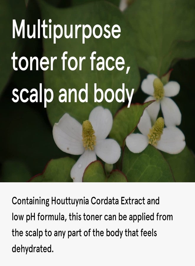 ONE THING Houttuynia Cordata Extract 10 fl oz | Vegan Soothing Calming Hydrating Facial Toner for Oily Acne Prone Skin | Korean Skin Care - Image 4